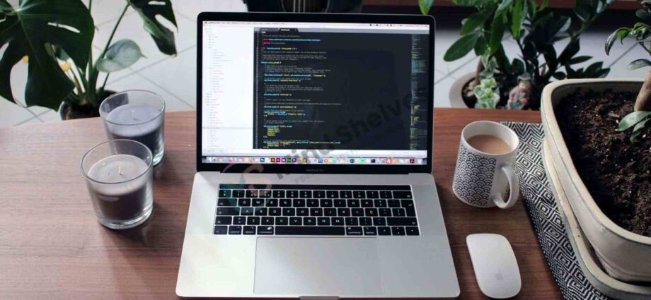 The Beginner's Guide to Website Development